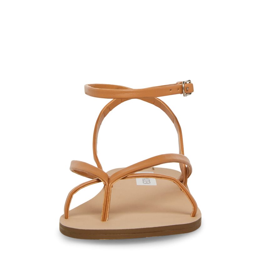 Brown Steve Madden Amuse Women's Flat Sandals | PH 4701KIZ